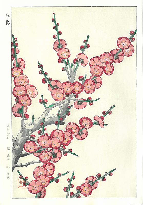 No227 木版画 河原崎奨堂【ヤマザクラ】芸艸堂 大判 彫長島 真作保証 No227 木版画 河原崎奨堂【ヤマザクラ】芸艸堂 大判 彫長島 真作保証