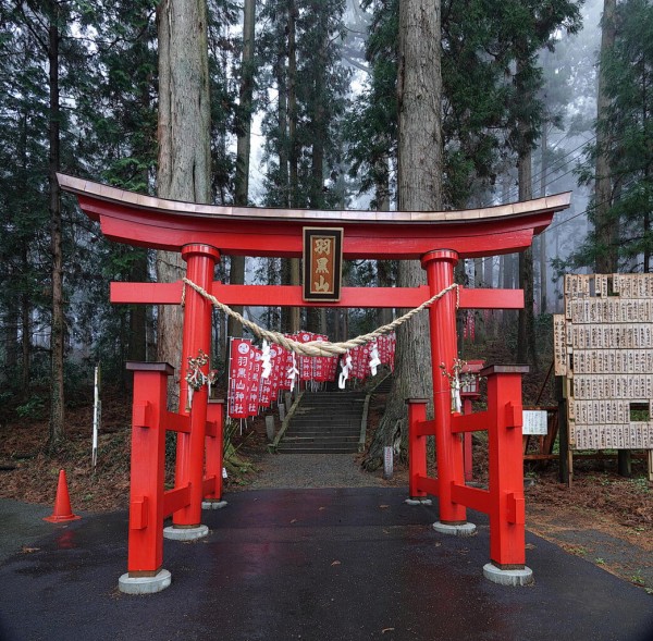 栃木県 宇都宮市 今里町 羽黒山神社 神社3