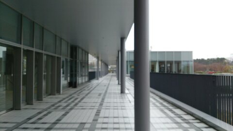 猿cafe うるうる Mio様の名古屋食べ歩き日記