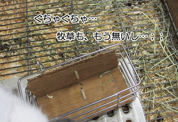 牧草撒き散らかし 宮田のつぶやき