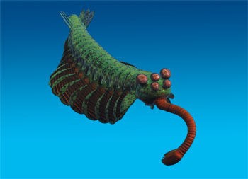 画像あり 3億700万年前に実在した謎のモンスター トゥリモンストゥルム の全体像が判明 うしみつ 2ch怖い話まとめ 画像あり 3億700万年前に実在した謎のモンスター トゥリモンストゥルム の全体像が判明 うしみつ 2ch怖い話まとめ