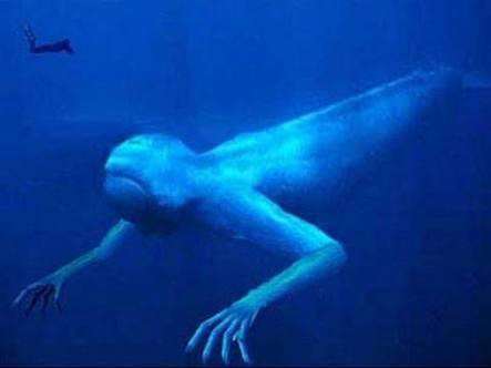 画像２４枚 なんで水の中に巨大生物がいたらこんなにも恐怖なんだ うしみつ 2ch怖い話まとめ