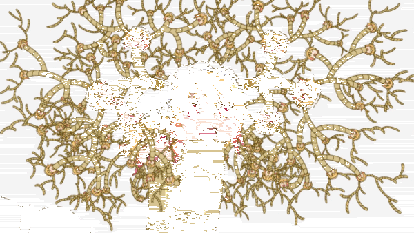 閲覧注意 蓮コラ恐怖症の奴来いwwwwwwwwwww うしみつ 2ch怖い話まとめ 閲覧注意 蓮コラ恐怖症の奴来いwwwwwwwwwww うしみつ 2ch怖い話まとめ