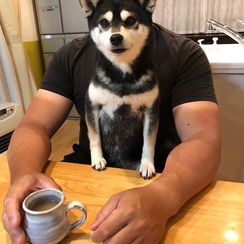 画像 デカい犬 かわいすぎる うしみつ 2ch怖い話まとめ