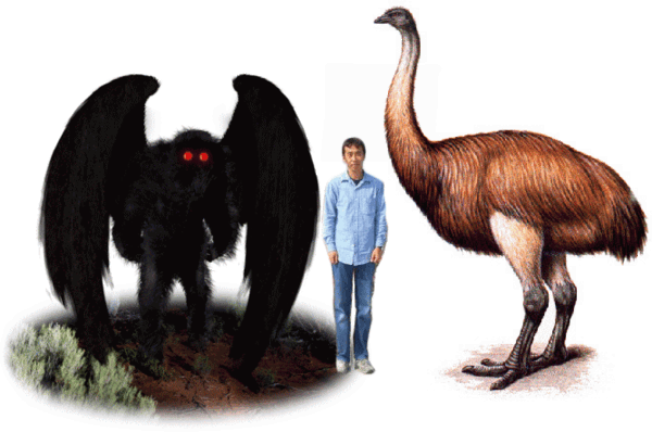 画像あり 古代の巨大鳥がヤバいくらいデカくて怖過ぎるwwwwwww うしみつ 2ch怖い話まとめ