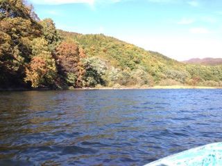 むずかしい秋元湖 福島県わかさぎ釣りと時々その他 むずかしい秋元湖 福島県わかさぎ釣りと時々その他