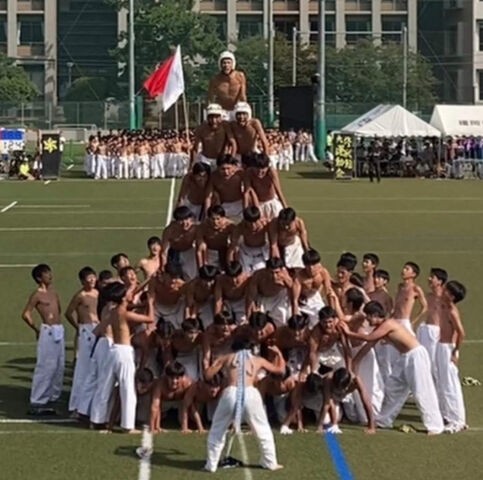 13冊セット 東京大学陸上運動倶楽部 会報 平成 令和 東大 部活 非売品 復刊 13冊セット 東京大学陸上運動倶楽部 会報 平成 令和 東大 部活