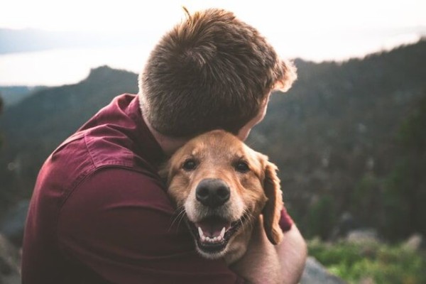 凄すぎ 犬は 地磁気 を感知して利用して家に帰る事が判明 コンパスランで方向を再構成 Question クエッション