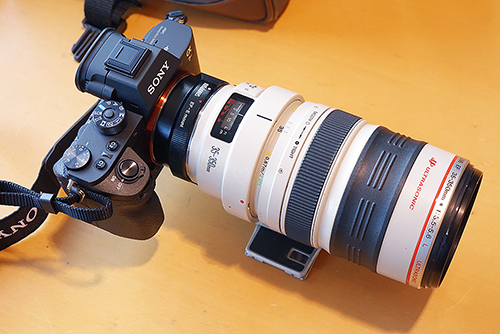 Canon キャノン EF 35-350mm F3.5-5.6 L USM www.sudouestprimeurs.fr