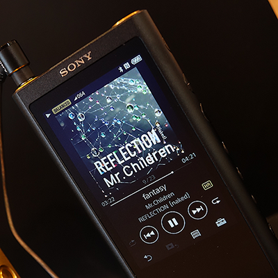 SONY ソニー ウォークマンNW-ZX300 XBA-N3BP CKL-NWZX300 セット