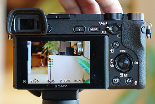 α6300＋SAL70300Gで野鳥など、撮影を楽しんできました！（AF性能・手