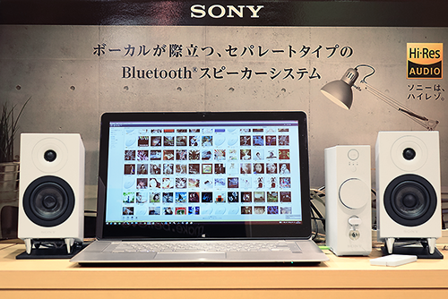 SONY ECC-S71-0 スピーカー・ウーファー用センター SONY SS-CSD1 〓 不思議？ 『JMD-7』用, 良品,6M保証 ソニー