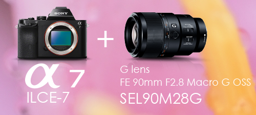 お待たせ!90mmマクロ「SEL90M28G」の作例集できました!やっぱ お待たせ!90mmマクロ「SEL90M28G」の作例集できました!やっぱ