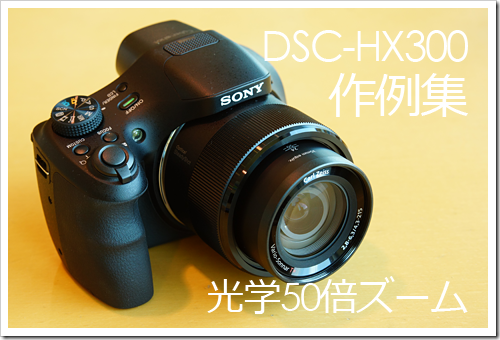 1200mm光学50倍ズーム「DSC-HX300」作例レビュー！ : ソニーで遊ぼう！