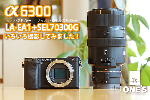 α6300＋SAL70300Gで野鳥など、撮影を楽しんできました！（AF性能・手