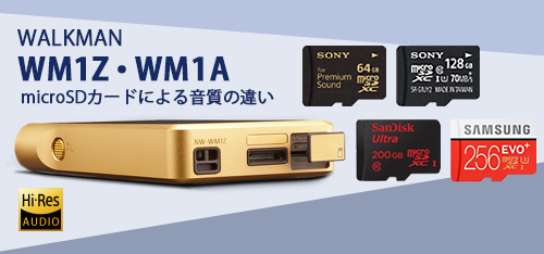 WALKMAN WM1シリーズに朗報！microSDカードによる音質の違いについて