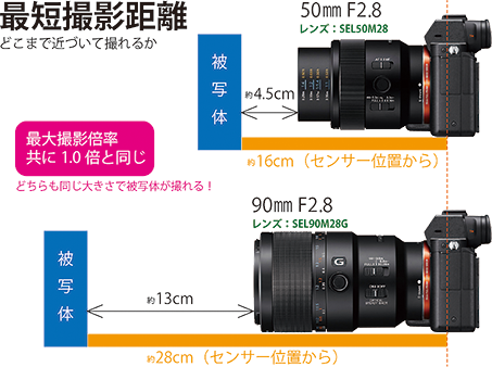 Sony fe2.8/90 macro g oss 本日限り（海外でフルサイズEマウント 