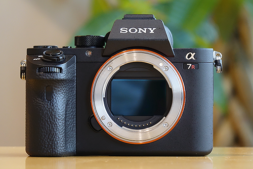 SONY a7RIII Eマウント α7RII+「EF35-350mm F3.5-5.6L USM」をMETABONES製のマウント