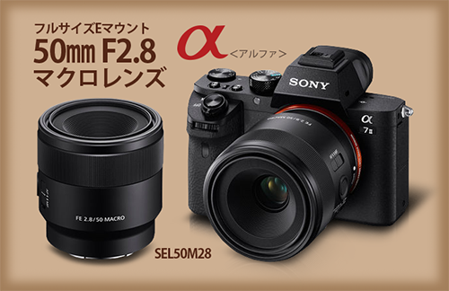 海外でフルサイズEマウント50mmF2.8マクロレンズ「SEL50M28」が発表