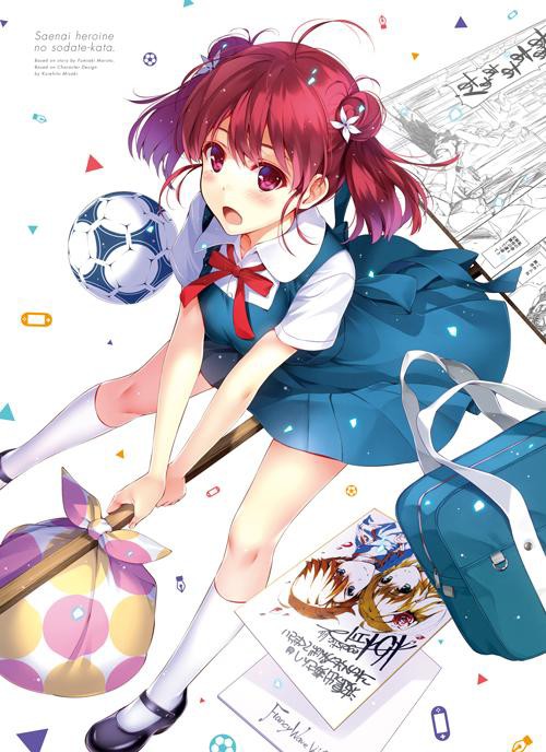 冴えない彼女の育てかた】BD，DVD 5巻のパッケージイラストは波
