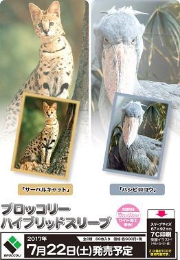 格安SALEスタート!の商品をすべて 実写のサーバルキャット、ハシビロコウ スリーブ 予約が始まっ サプライ・アクセサリ・グッズ