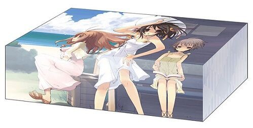 Amazon.co.jp: ヴァイスシュヴァルツ 角川スニーカー文庫 猪突