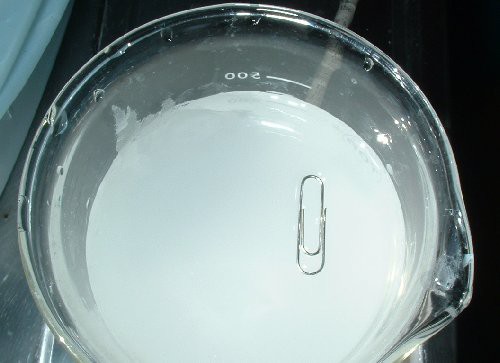 理科 水に浮く金属 表面張力の自由研究 なるほどの素