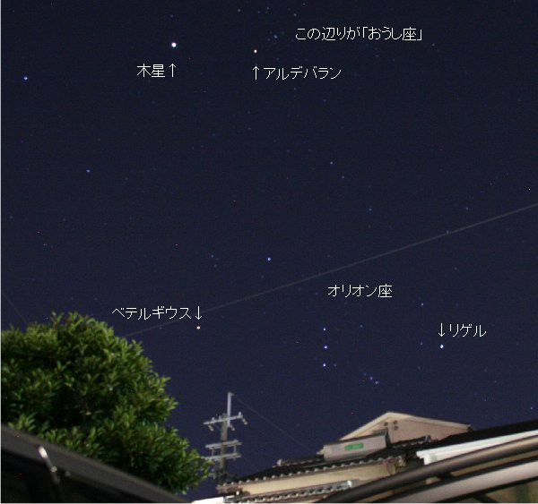 ８月後半 今だからこそできる理科の自由研究 なるほどの素