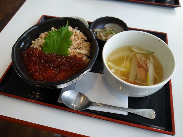 フェリーターミナルの供食事情 Sea Road