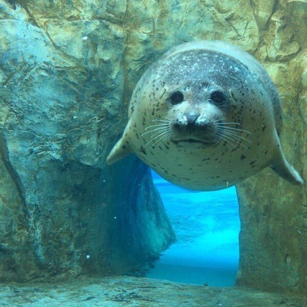 めちゃシコ女子 みんな地震大丈夫 Vipまとめ速報