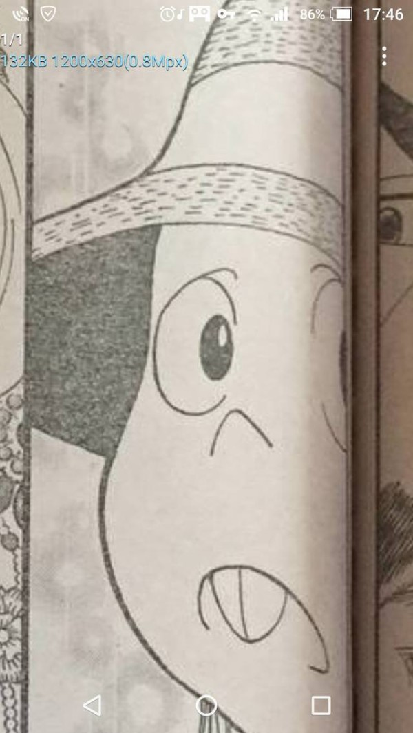 ﾊﾝﾀｰﾊﾝﾀｰ ビスケ ゴリラ さんの現在がこちらｗｗｗｗｗ Vipまとめ速報