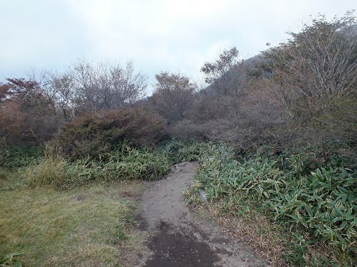 赤城山 荒山高原 くり太郎 姫百合駐車場 登山 Map 赤城山日記