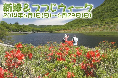 赤城山 5 30 現在のツツジ開花状況 鍋割高原見ごろ 赤城山日記 赤城山 5 30 現在のツツジ開花状況 鍋割高原見ごろ 赤城山日記