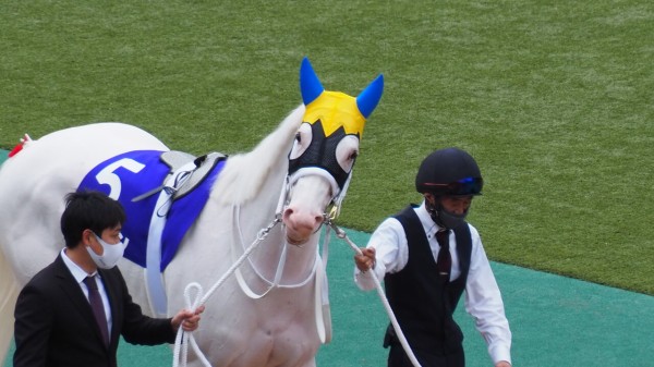 Amazon.co.jp: 競馬 JRA ソダシ ゴルフ クリップマーカー