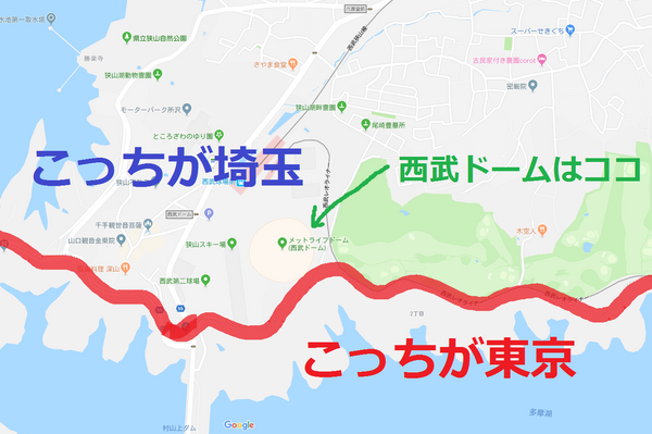 映画 翔んで埼玉 が大ヒット中の今こそ 埼玉西武ライオンズはそこらへんの草を食うコラボなどを緊急発表すべきである件 スポーツ見るもの語る者 フモフモコラム