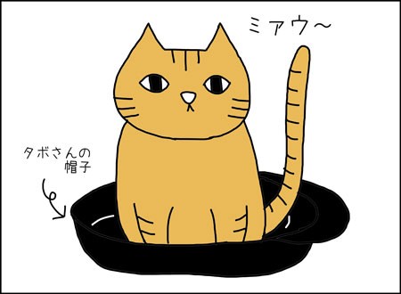 またたびのような メキシコ生活絵日記 Vive Mexico