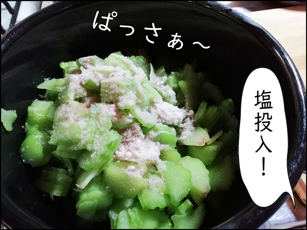 ルバーブ こんな横文字野菜で日本の味が メキシコ生活絵日記 Vive Mexico