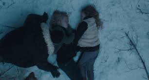 静寂の森の凍えた姉妹【2016アイスランドのミステリー】 : ビビの役に立たないシナリオ