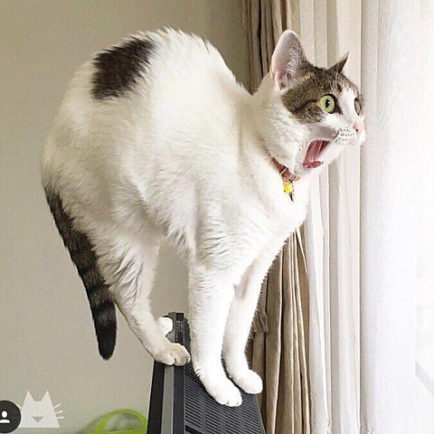 21 ビビの 再生工場シナリオコンクール まとめ ビビの役に立たないシナリオ