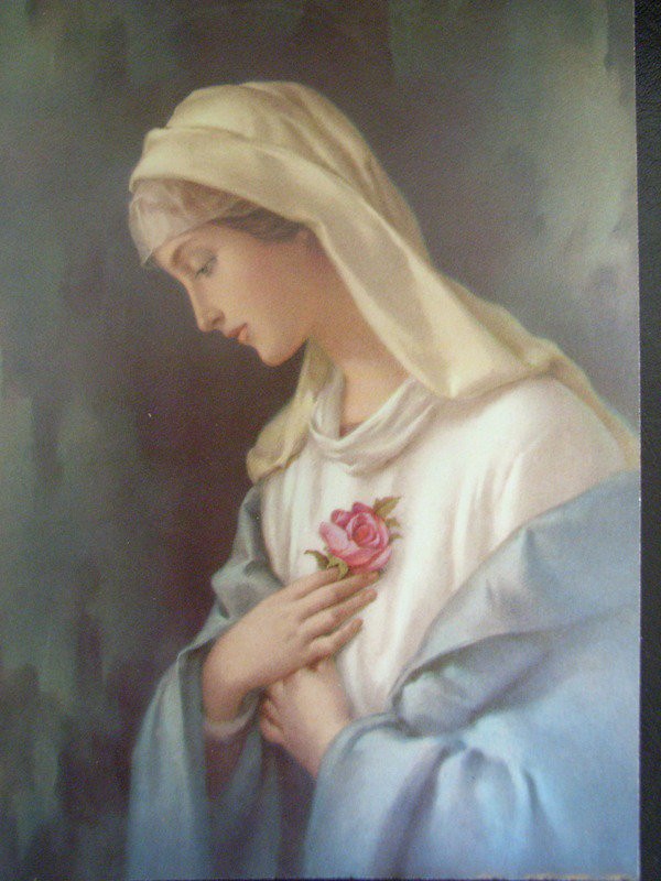 7月の真言 ロザリオの祈りー聖母マリアへの祈り Voicevoice2のブログ