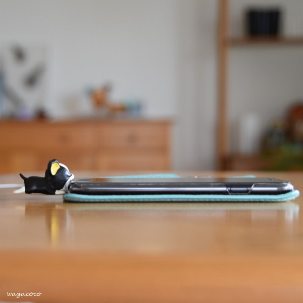 すべての花の画像 上スマホ イギー 壁紙