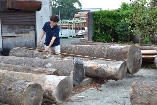 桐丸太に墨付け : 桐たんす百報(総桐箪笥和光)