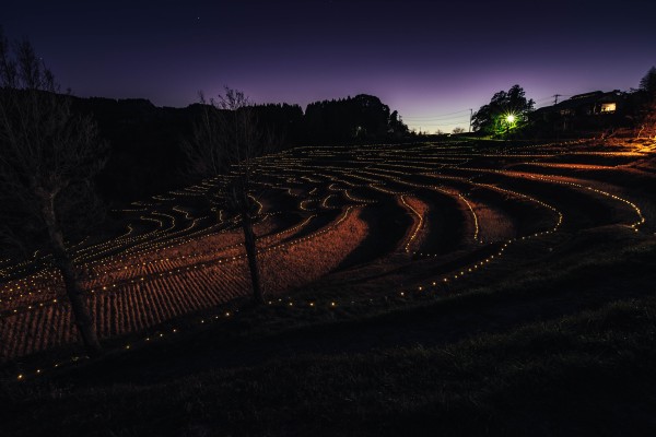 大山千枚田の棚田ライトアップを撮る 東京寫眞