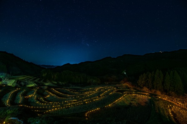 大山千枚田の棚田ライトアップを撮る 東京寫眞