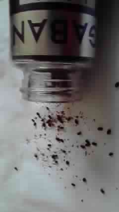 Gabanレッドペーパー ダイソーの一味唐辛子にも 虫 気になったモノいろいろ