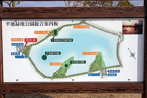 平池緑地公園 : 『wakya』 和歌山紹介ブログ
