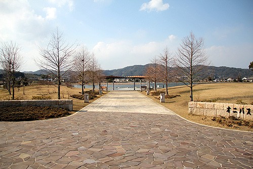 平池緑地公園 : 『wakya』 和歌山紹介ブログ