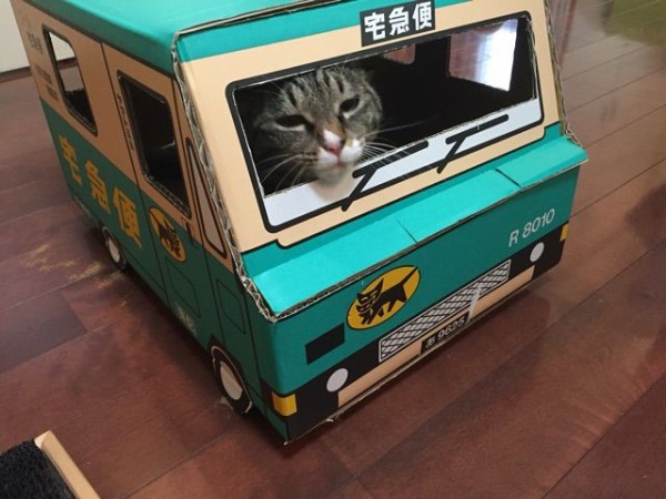 クロネコヤマトの猫ハウス わん ゆう 犬安堵遊
