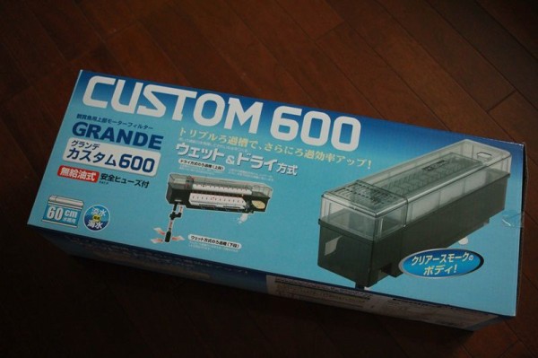 金魚フィルター交換 はるうらら