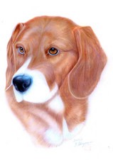 犬の瞳に乾杯 色えんぴつで描いた犬の似顔絵 黒ラブ モカとわん画家の日々